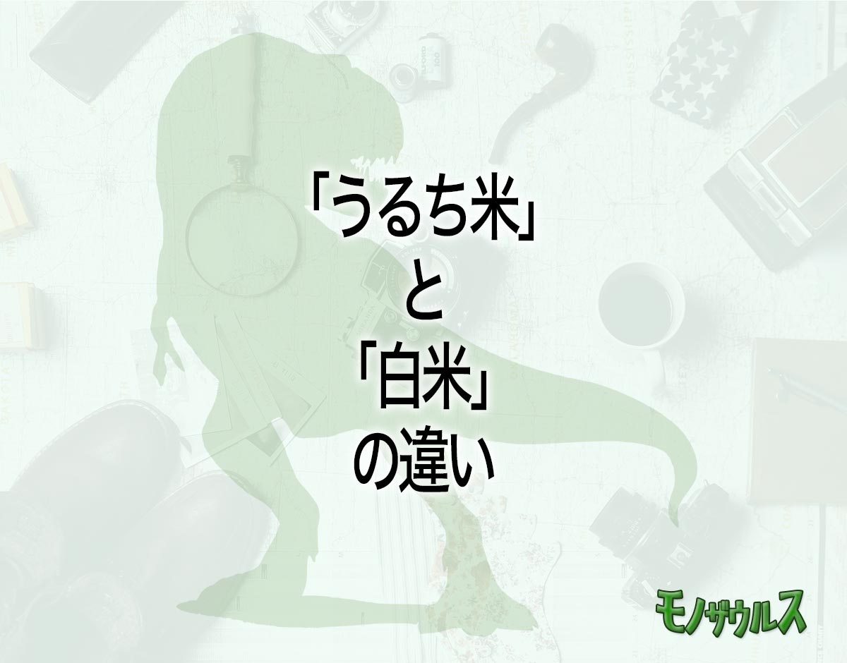 「うるち米」と「白米」の違いとは？