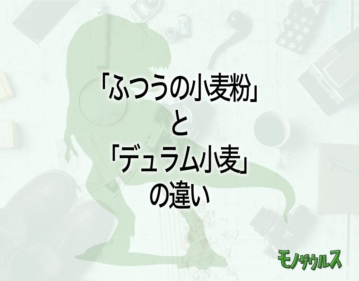 「ふつうの小麦粉」と「デュラム小麦」の違いとは？