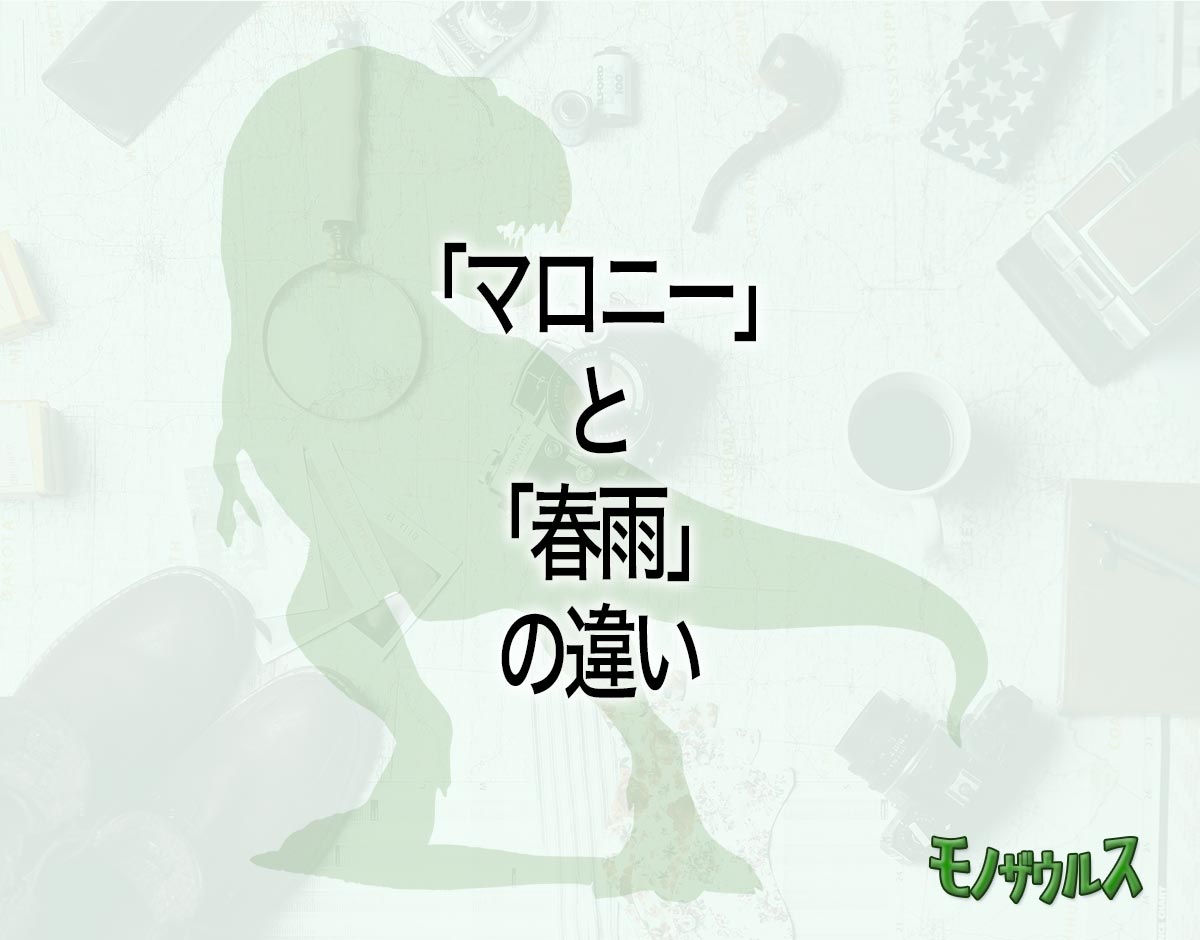 「マロニー」と「春雨」の違いとは？