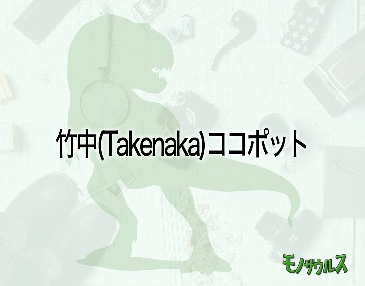 「竹中(Takenaka)ココポット」はどこで売ってる？